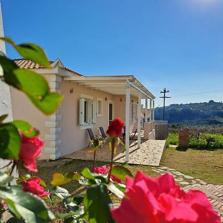 Vasilopoulos Estate Koróni المظهر الخارجي الصورة