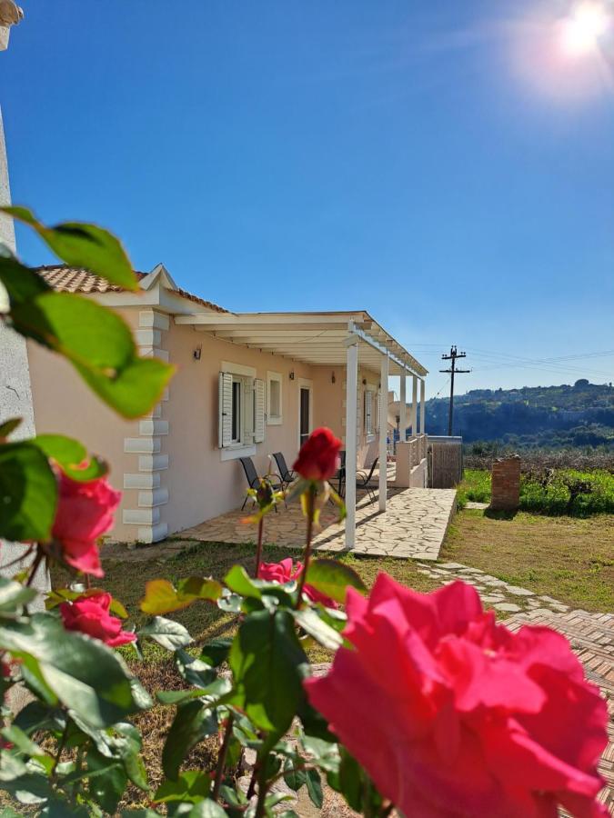 Vasilopoulos Estate Koróni المظهر الخارجي الصورة